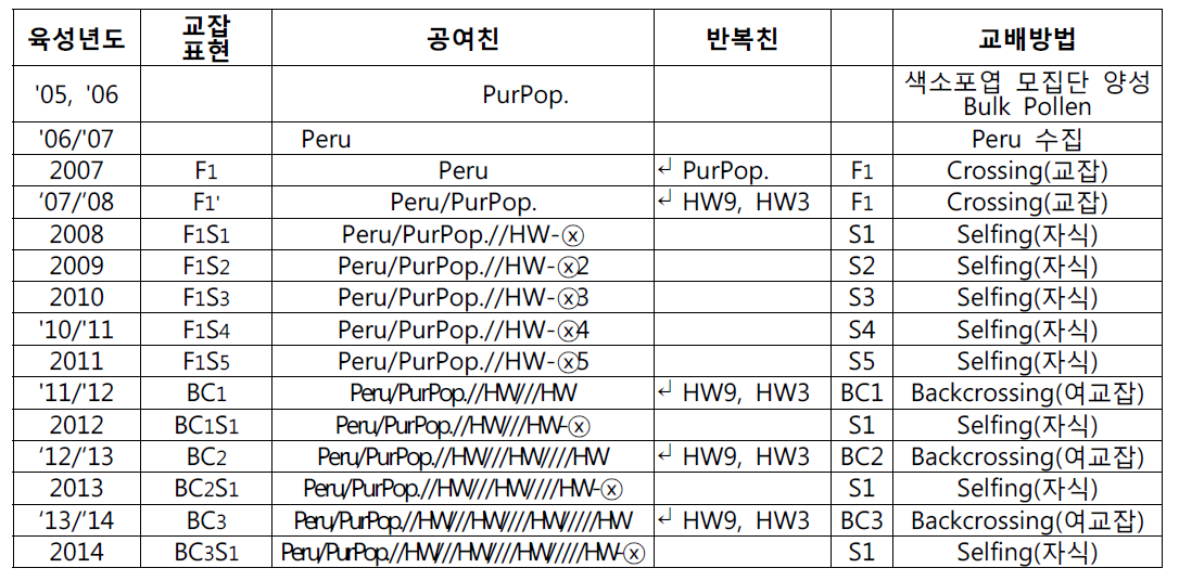 색소찰 근동질계 육성연도별 교배내용