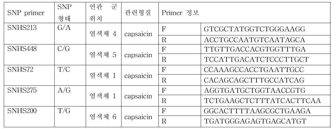 고추 매운맛 관련 유전자 SNP 프라이머쌍의 정보