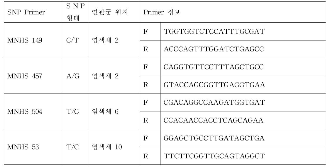 고추 적색소 관련 유전자 SNP 프라이머쌍의 정보