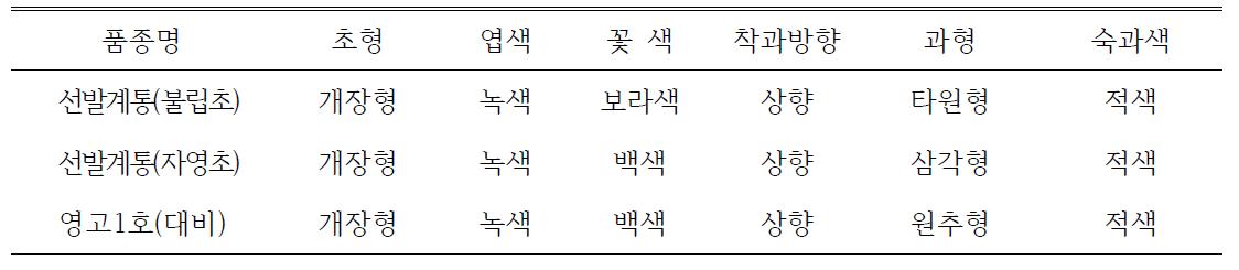 선발계통의 특성