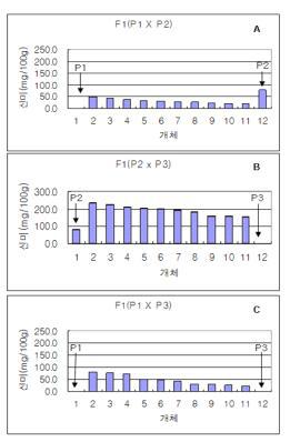 계통과 F1 조합의 신미 함량 비교. 신미 계통 P1, P2, P3와 F1 조합