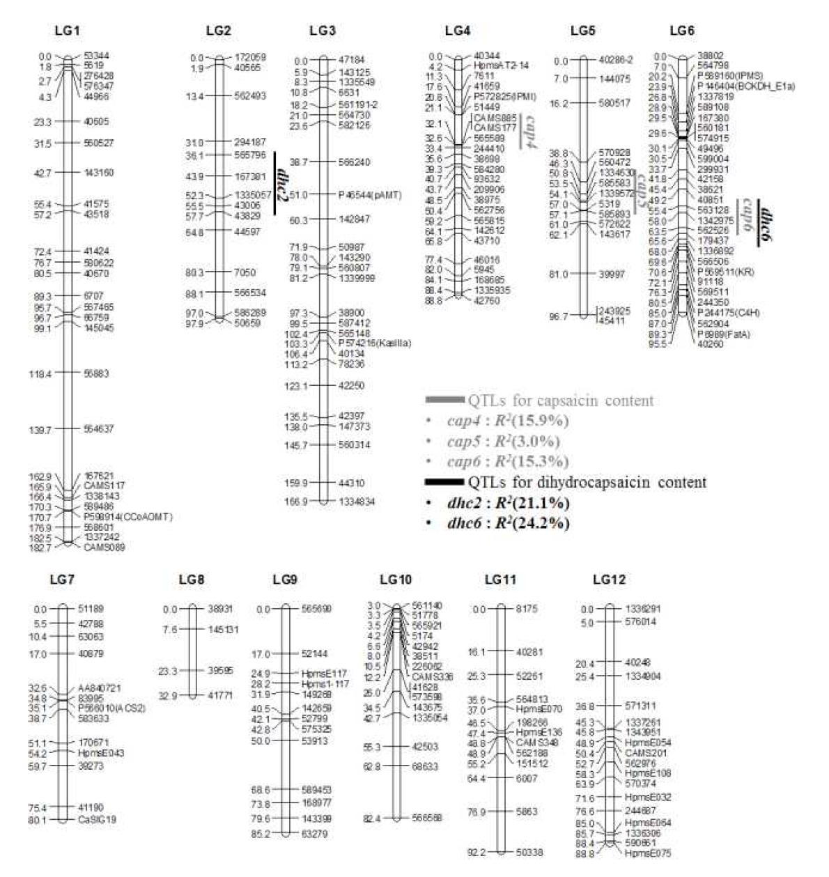 NB1xJolokia-F2 집단의 유전자 연관 지도와 신미(capsaicin과 dihydrocapsaicin) 함량에 연관된 QTLs의 위치 및 각각의 QTL 효과
