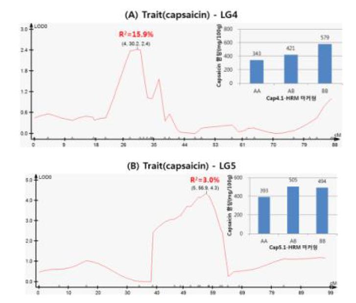 Capsaicin{LG4(A), LG5(B) 및 LG6(C)}과 dihydrocapsaicin{LG2(D)와 LG6(E)} 함량에 대한 QTL 및 연관 마커의 효과.