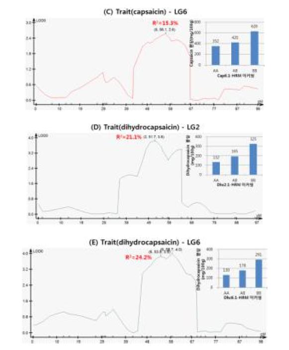 Capsaicin{LG4(A), LG5(B) 및 LG6(C)}과 dihydrocapsaicin{LG2(D)와 LG6(E)} 함량에 대한 QTL 및 연관 마커의 효과