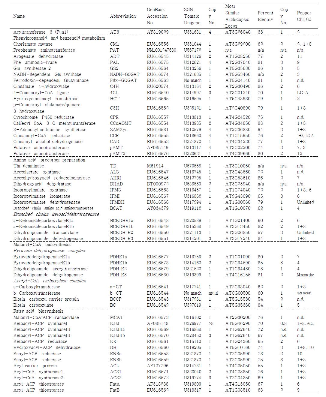 Capsaicinoids 합성 관련 유전자 정보.