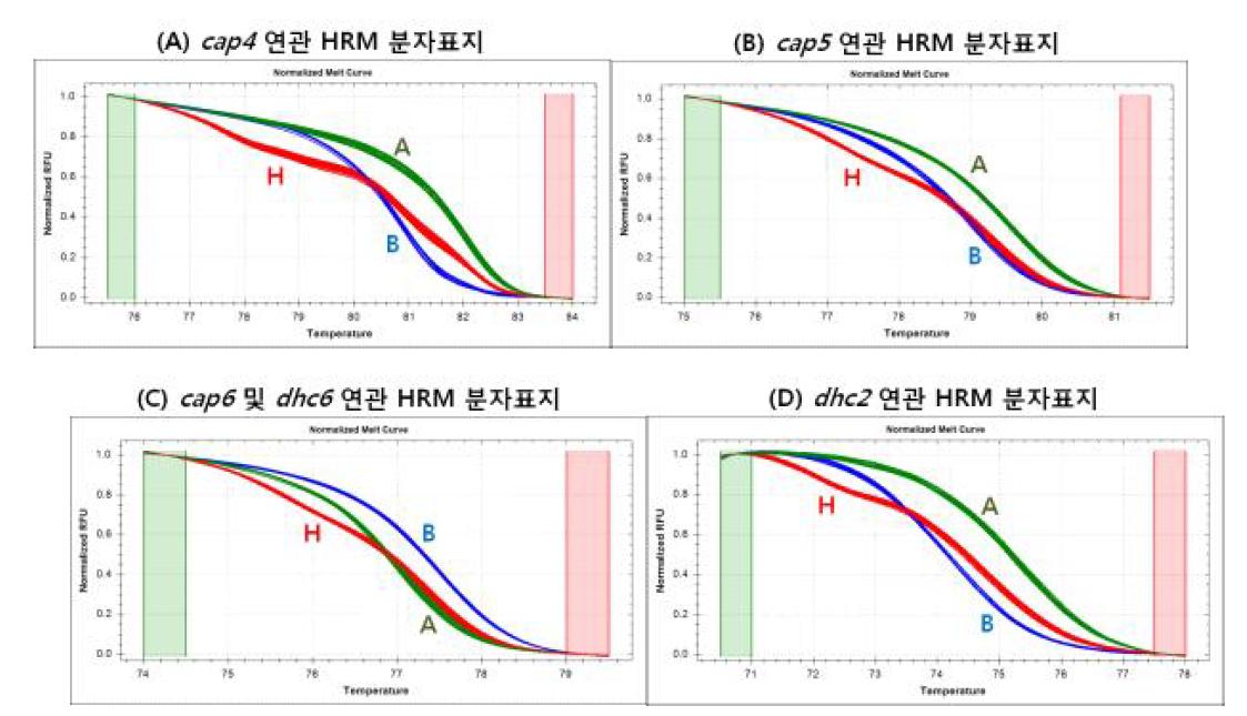 Capsaicin 함량 QTL인 cap4, cap5, cap6과 dihydrocapsaicin 함량 QTL인 dhc2, dhc6과 연관된 HRM 분자표지.