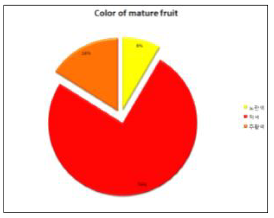 F6 계통들의 숙과색 분포