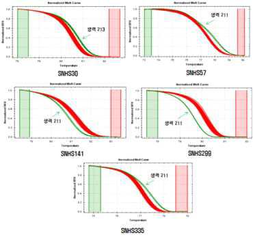 품종 특이 고추 SNP(HRM) 분자표지의 그래프 패턴