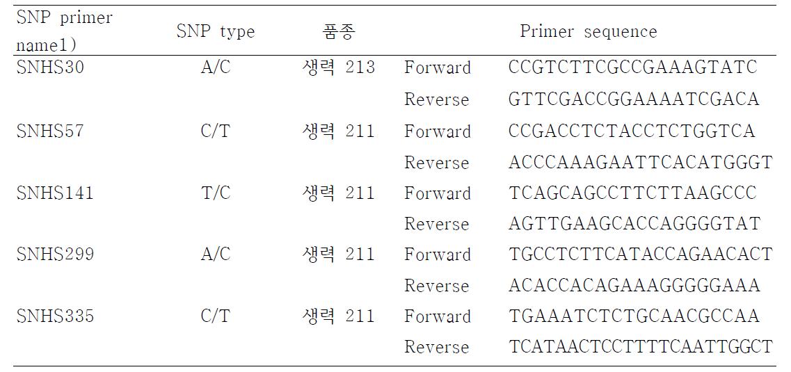 일시수확형 고추 “생력 211”과“생력 213”품종특이 연관 SNP 프라이머쌍의 정보