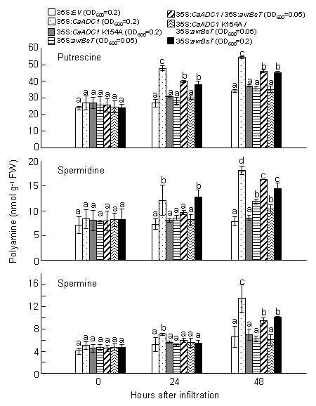 Effect of transient expression of CaADC1, CaADC1 K154A, and avrBsT on polyamine levels in Nicotiana benthamiana leaves.