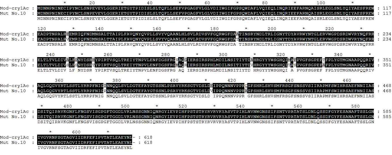 Amino acid sequence of Mut-Cry1Ac No. 10