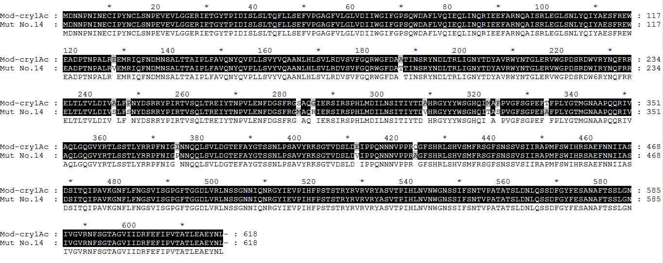 Amino acid sequence of Mut-Cry1Ac No. 14