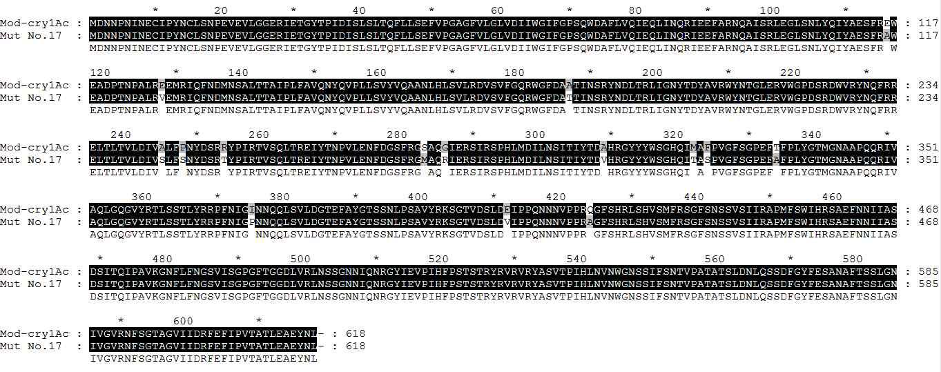 Amino acid sequence of Mut-Cry1Ac No. 17