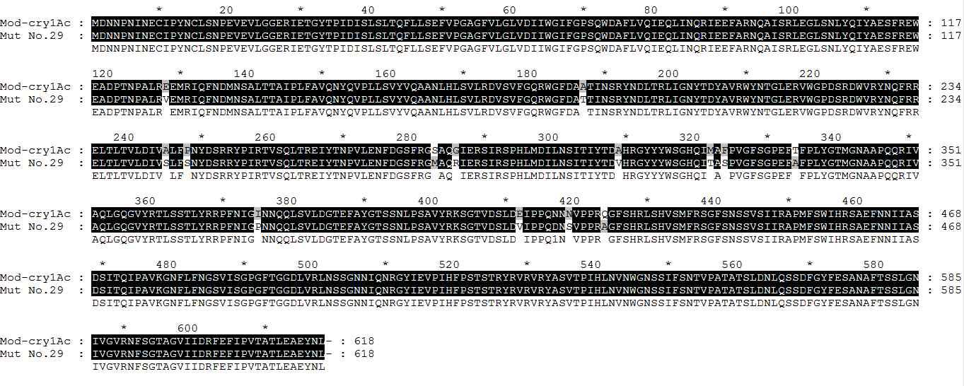 Amino acid sequence of Mut-Cry1Ac No. 29