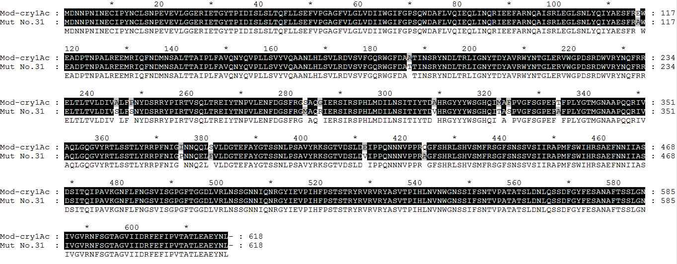 Amino acid sequence of Mut-Cry1Ac No. 31