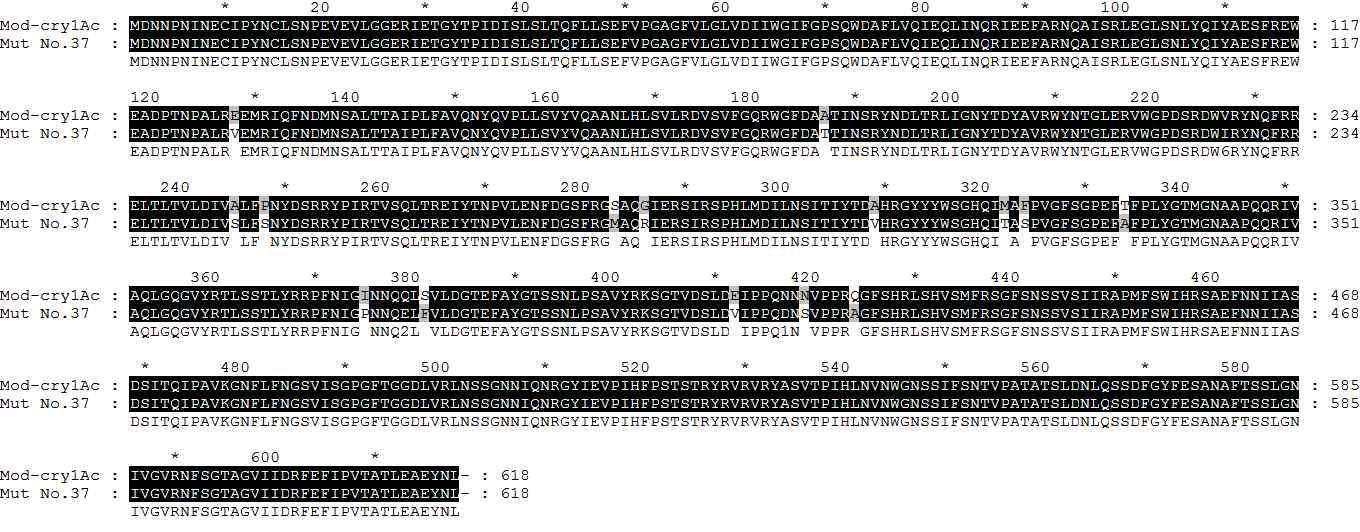 Amino acid sequence of Mut-Cry1Ac No. 37
