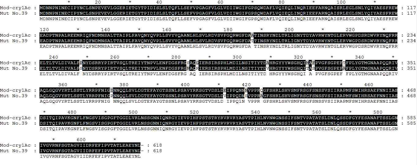 Amino acid sequence of Mut-Cry1Ac No. 39
