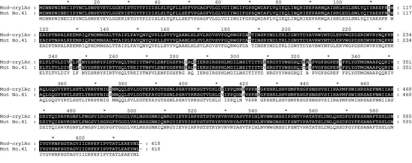 Amino acid sequence of Mut-Cry1Ac No. 41