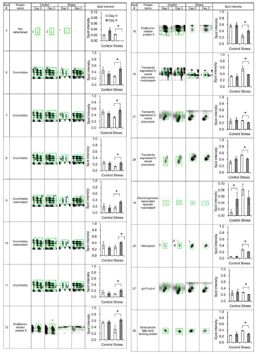 Representative two-dimensional electrophoresis (2DE) of hen’s egg white proteins.