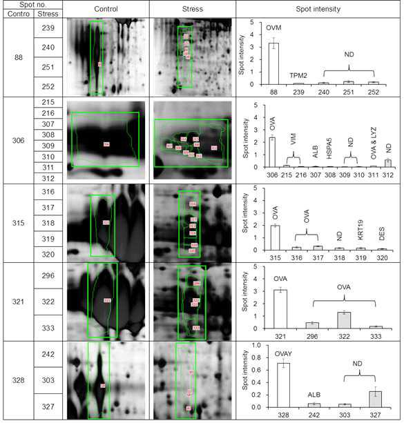 One protein spot in Control was changed to several protein spots in Stress.