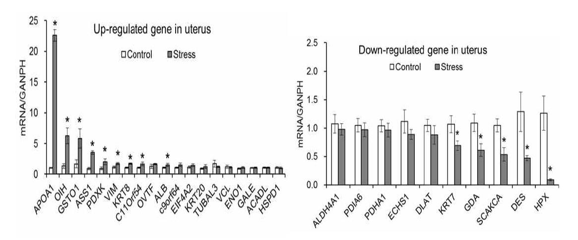 Increased (left) or decreased expression of genes in the uterus of hens treated with either control (Control) or corticosterone (Stress) for 2 weeks.