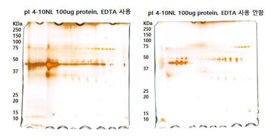 Representative two-dimensional electrophoresis (2DE) analysis of hen