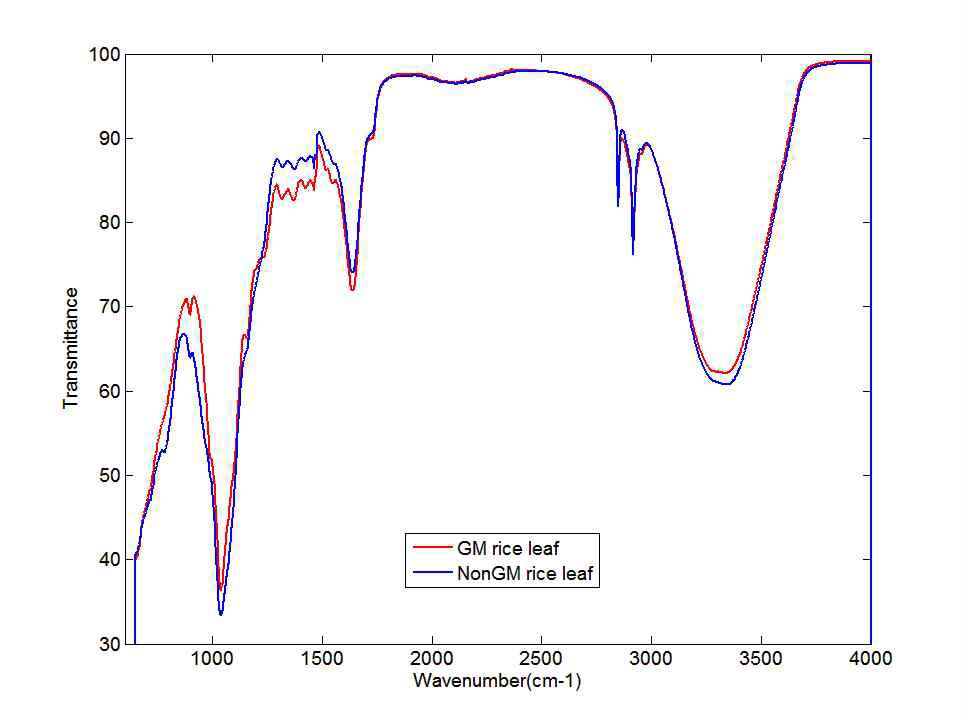 GM 벼와 Non-GM 벼의 FT-IR 평균 스펙트럼