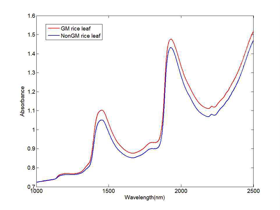 GM 벼와 Non-GM 벼의 FT-NIR 평균 스펙트럼