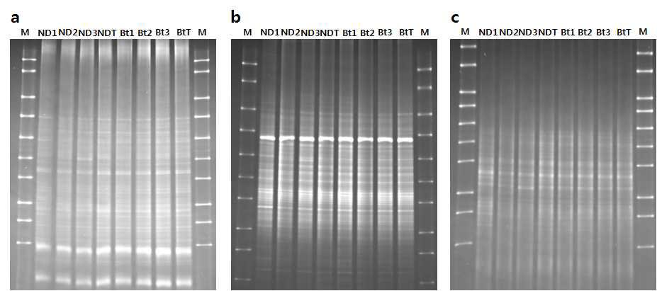 DGGE analysis of 16S rRNA V3(a), V4(b) and V6(c) region obtained after PCR amplification. DGGE profile for August (2012) in Nakdong and Bt rice. ND, Nakdong; Bt, Insect-resistant GM rice ; M, DGGE molecular weight marker; ND1, 2  Bt1, 2 &3 indicate independent Bt soil sample and BtT inducates mixed soil of Bt1, 2 & 3.