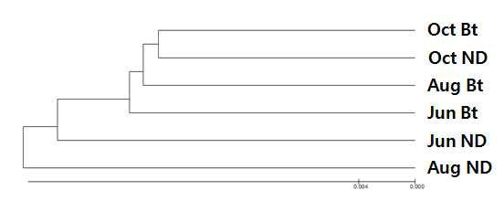 UPGMA dendrogram of 16S rRNA genes in the Nakdong(ND) and Bt soil based on OTUs sharing 97% similarity (Bray-Curtis distance) (2013). JunND, Rhizosphere soil of Nakdong collected at June; JunBt, Rhizosphere soil of Bt collected at June, AugND, Rhizosphere soil of Nakdong collected at August AugBt, Rhizosphere soil of Bt collected at August; OctND, Rhizosphere soil of Nakdong collected at August; OctBt, Rhizosphere soil of Bt collected at October.