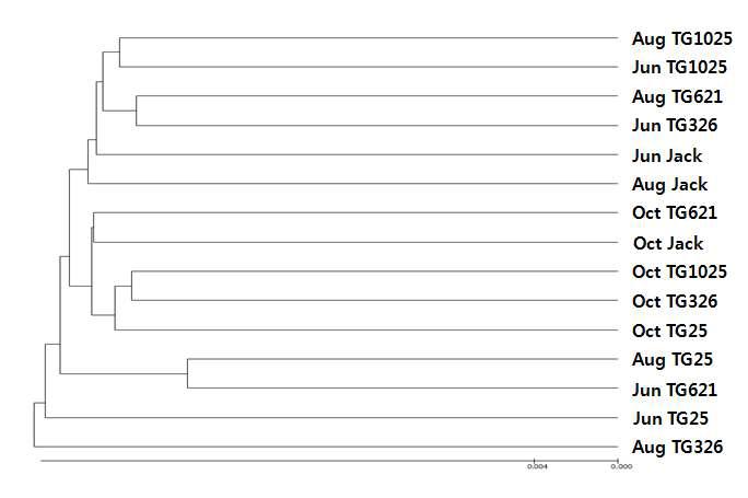 UPGMA dendrogram of 16S rRNA genes in the Jack and vitamin E ortified soybean soil based on OTUs sharing 97% similarity (Bray-Curtis distance) (2012). Ju nJack, Jun TG25, Jun TG326, Jun TG621  Aug Jack, Aug TG25, Aug TG326, Aug TG621  Oct Jack, Oct TG25, Oct TG326, Oct TG621 & Oct TG1025, Rhizosphere soil of Jack, TG25, TG326, TG621 and TG 1025 collected at October.