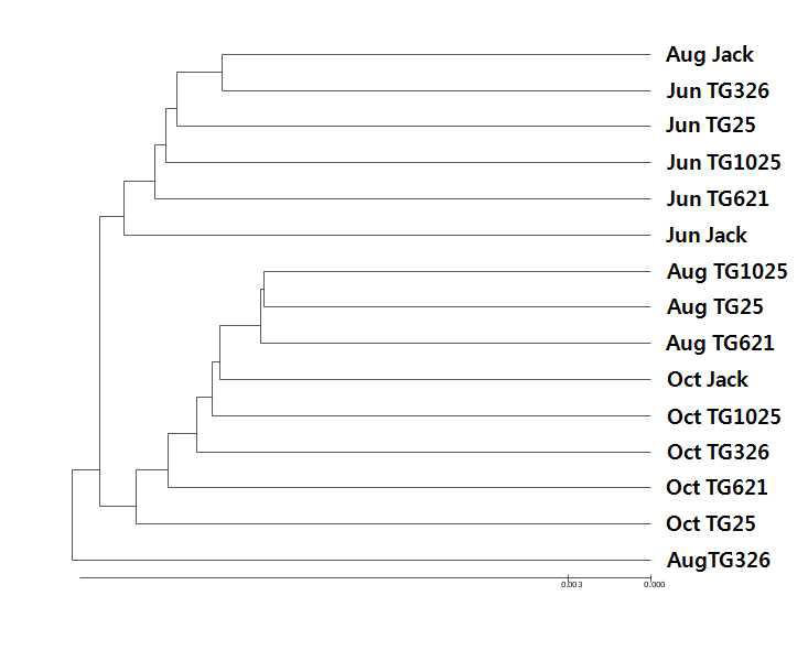 UPGMA dendrogram of 16S rRNA genes in the Jack and vitamin E ortified soybean soil based on OTUs sharing 97% similarity (Bray-Curtis distance) (2013). Ju nJack, Jun TG25, Jun TG326, Jun TG621  Aug Jack, Aug TG25, Aug TG326, Aug TG621  Oct Jack, Oct TG25, Oct TG326, Oct TG621 & Oct TG1025, Rhizosphere soil of Jack, TG25, TG326, TG621 and TG 1025 collected at October.