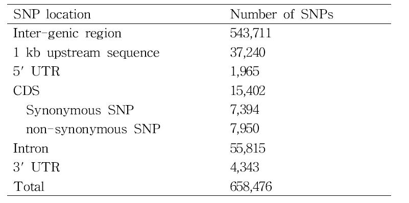 SS404-T5-76과 대원콩간에서 확인된 SNP 정보