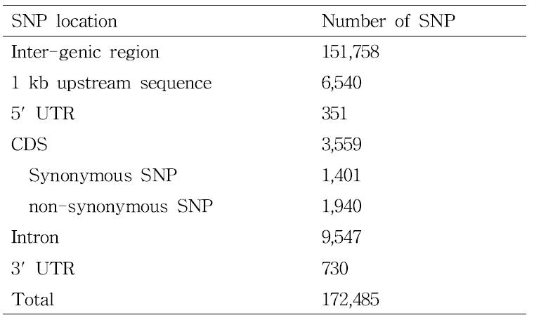 신팔달콩 2호와 SS2-2간에서 확인된 SNP 정보