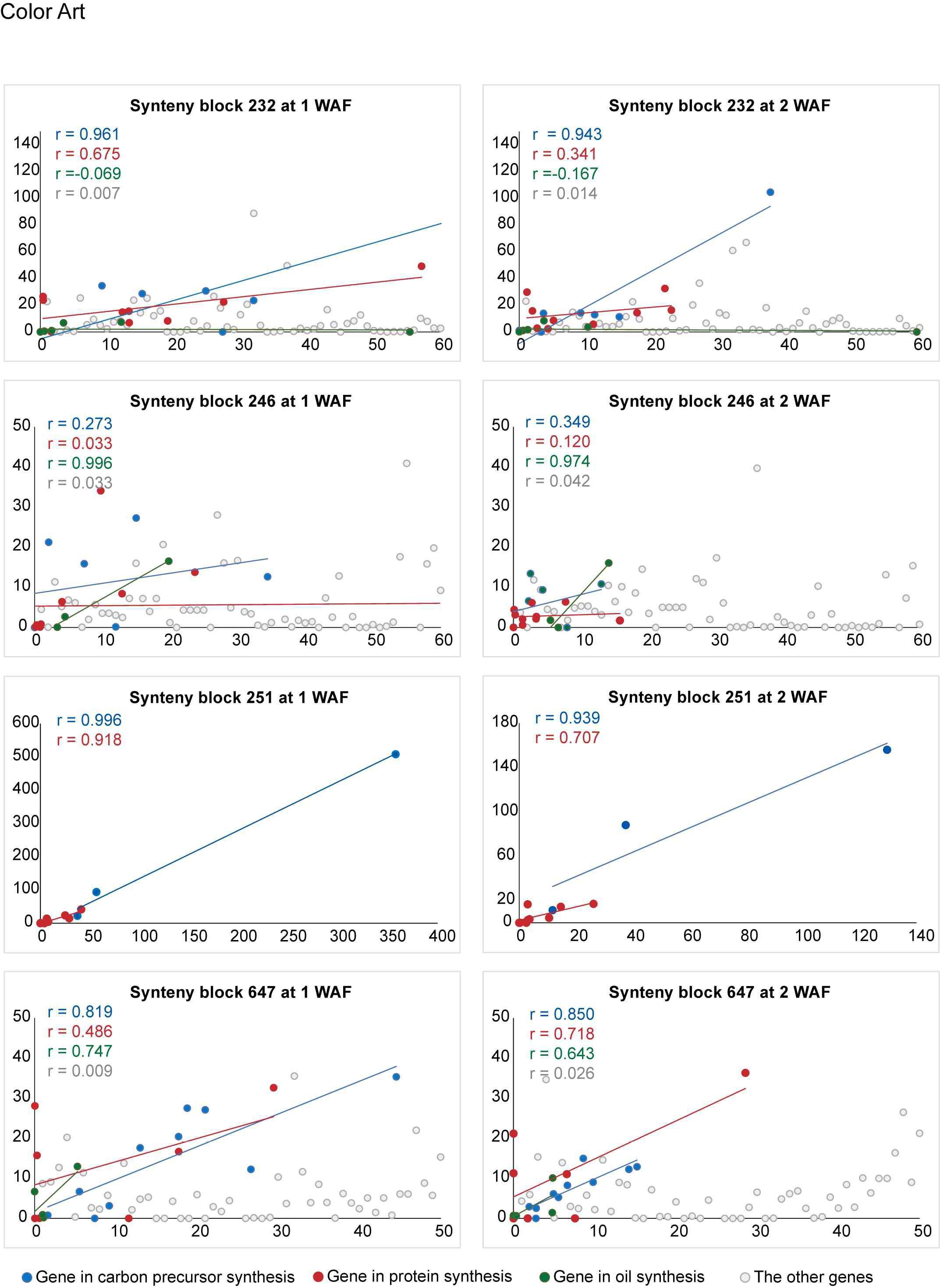 Fragments per kilobase of exon per million fragments mapped (FPKM) expression patterns of a paralogous gene pair in different synteny blocks at different times during seed development.