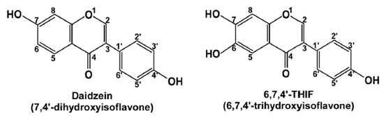 Daidzein(좌) and 6,7,4’-THIF(우) 의 구조
