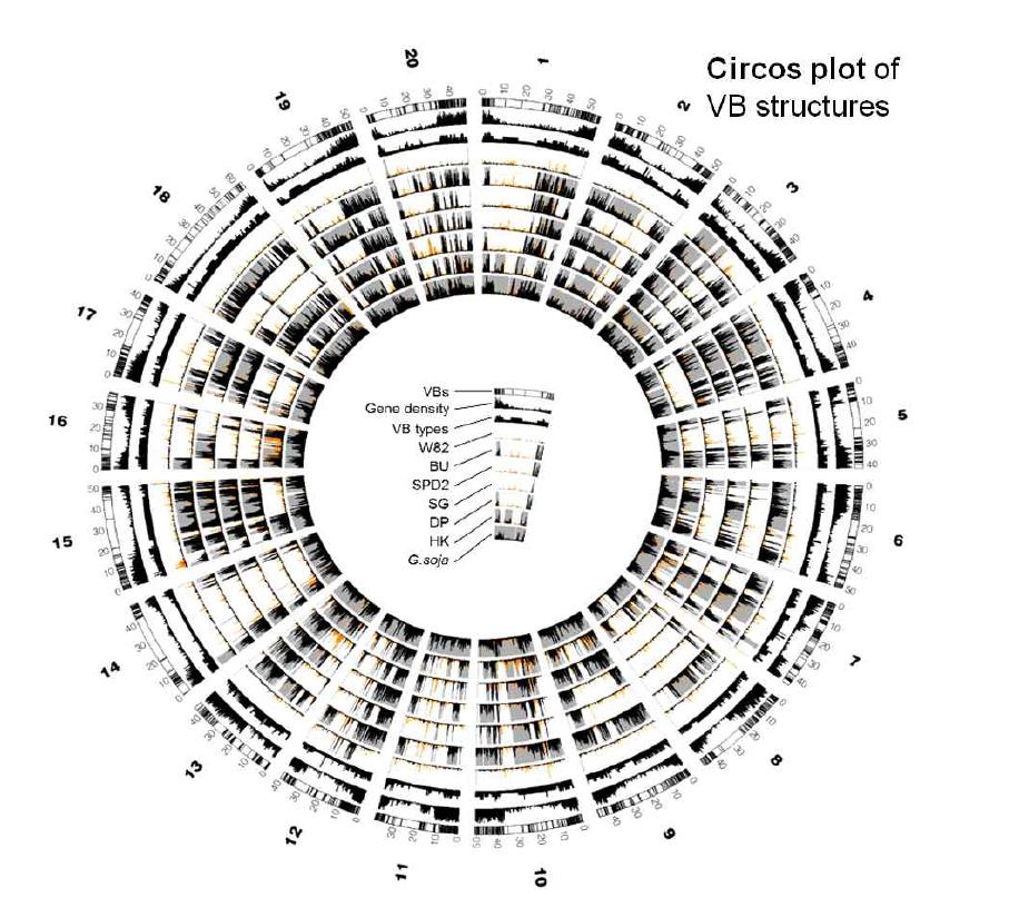VB 기반의 콩 전장유전체(circos plot)