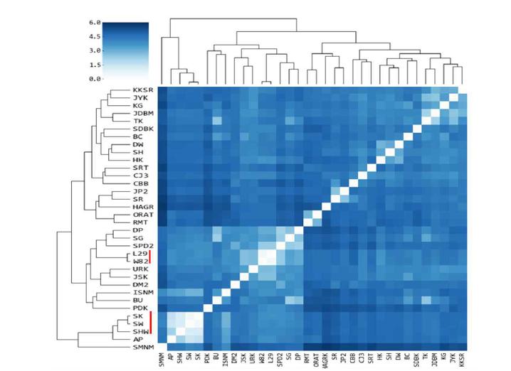 콩 hierarchical clustering 및 heat map 분석