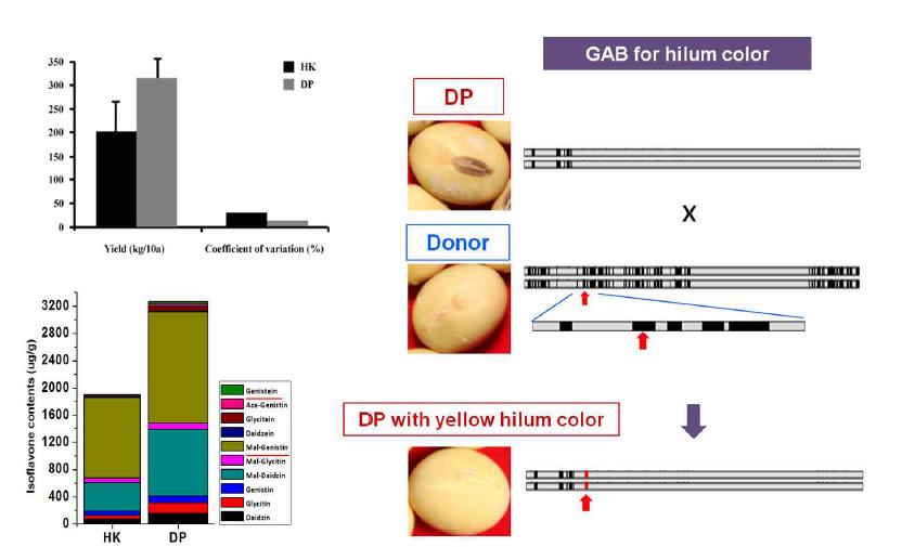 대풍의 hilum color 개량을 위한 맞춤형 품종 개발 모식도