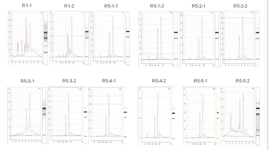 Sample QC results.