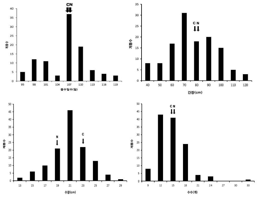 청청/낙동 DH 집단의 출수일수, 간장, 수장, 수수의 빈도분포(2011)