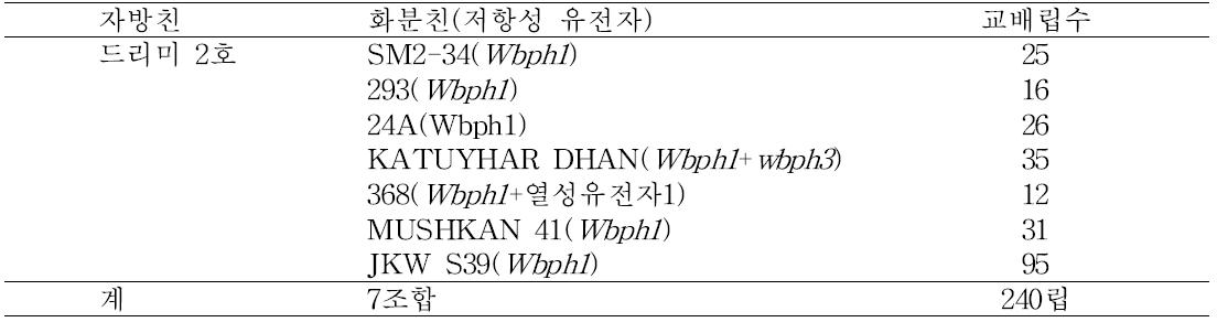 복합내충성 계통육성을 위한 인공교배 결과