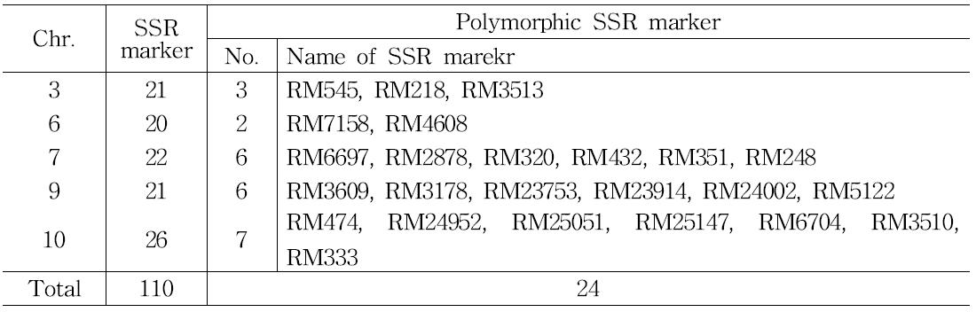 SSR marker 이용 밀양244호/백진주1호 집단의 모부본 다형성 분석