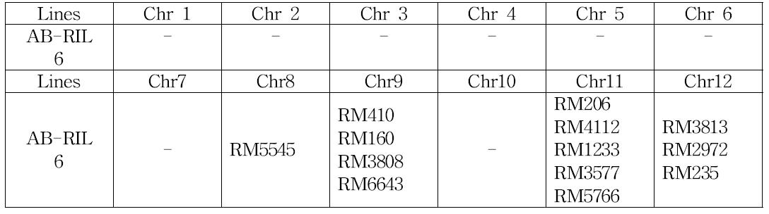 YR24438-B- B-B-B-132계통의 염색체별 도입의 SSR마커
