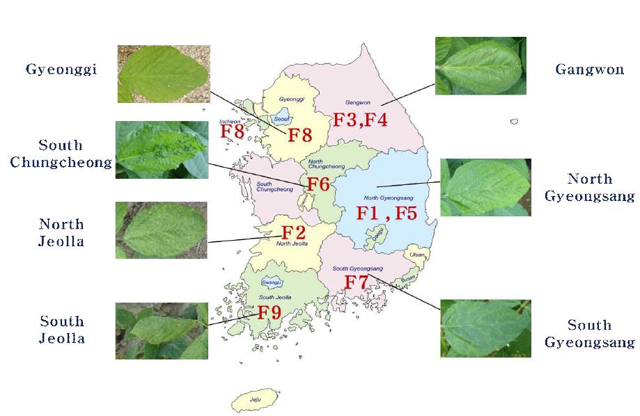 Soybean mosaic virus 의 전국적인 조사