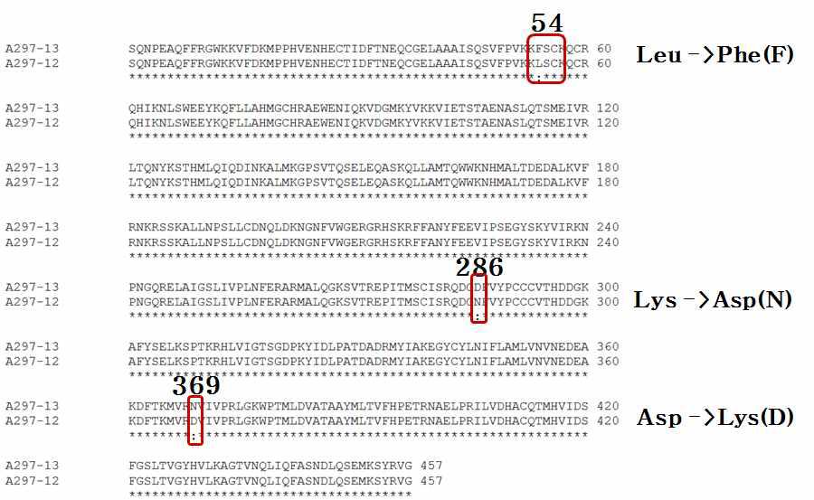 HC-Pro A297-12와 A297-12의 아미노산 서열 비교