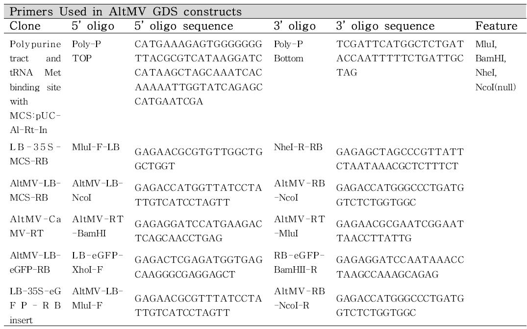 [LB-CaMV35S-MCS-NOSter-RB-tMet] 제작 프라이머