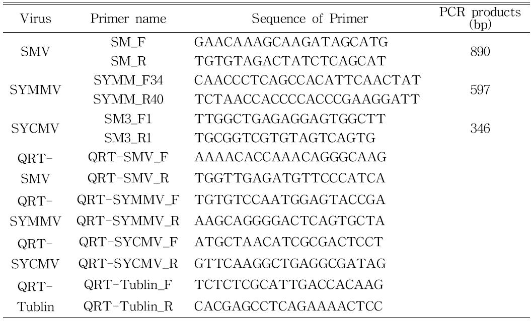 콩 감염바이러스 선별을 위한 PCR 프라이머와 Q-RT PCR 프라이머