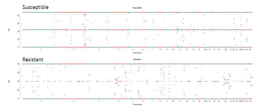 Genotype SNP’s genome-wide annotation on each chromosome for disease resistant and susceptible lines.