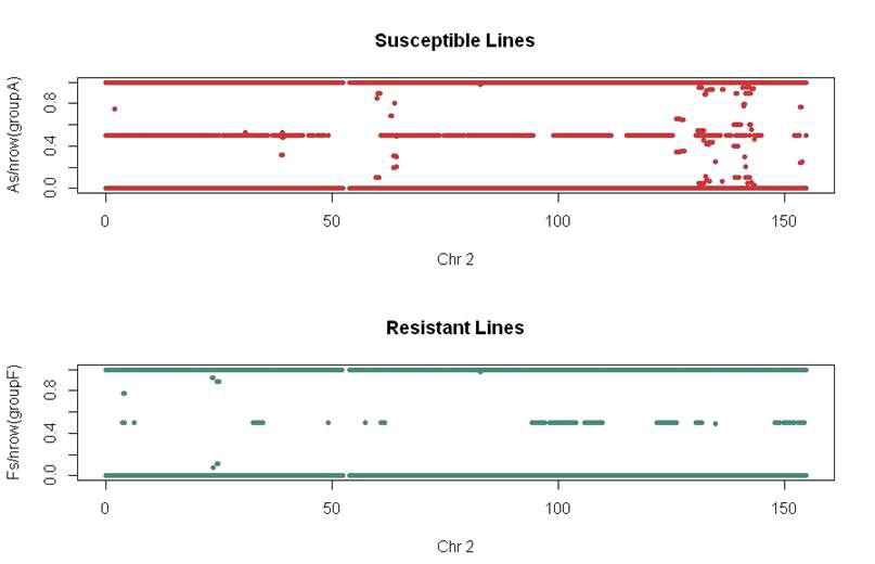 Genotype SNP’s allele annotation on the chromosome 2 for disease resistant and susceptible lines.